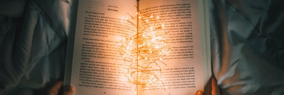 person holding string lights on opened book